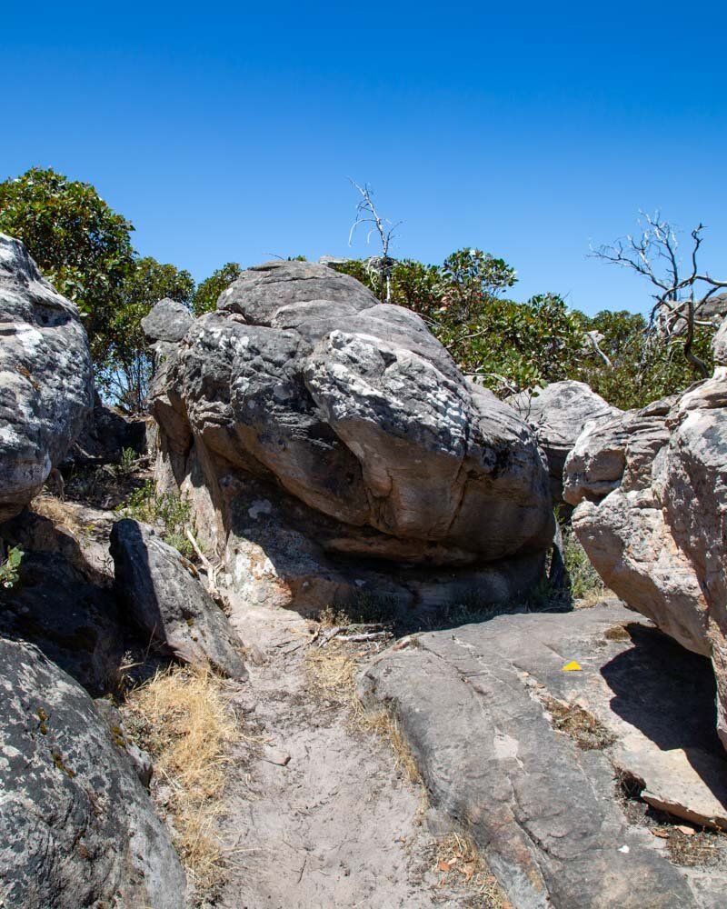 WHS Plus|Black Range State Park: Explore the Black Range State Park