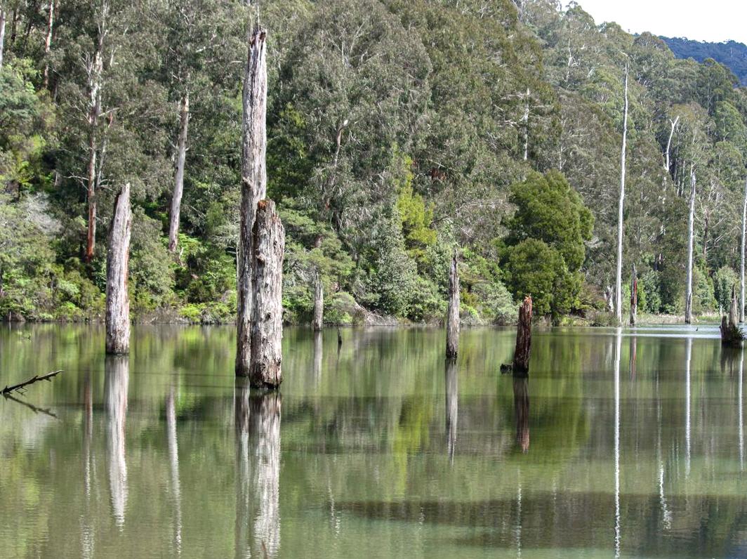 WHS Plus | Lake Elizabeth: Tranquil Lake in the Otways