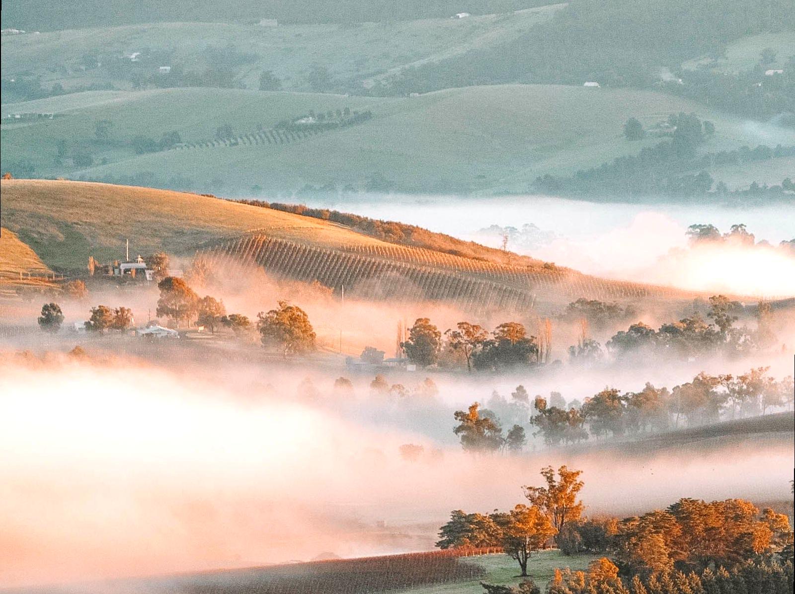 WHS Plus|Victoria Valley: Discover the beauty of Victoria Valley.