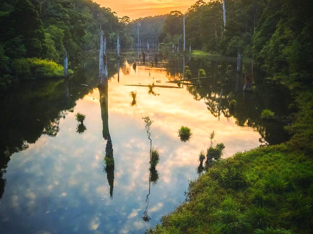 WHS Plus | Lake Elizabeth: Tranquil Lake in the Otways