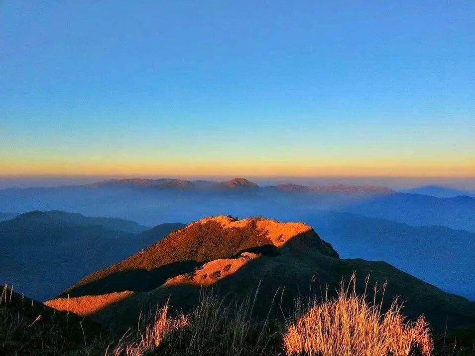 WHS Plus | Briggs Bluff: Hike to the summit of Briggs Bluff.