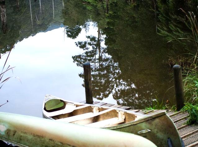 Lake Elizabeth: Tranquil Lake in the Otways