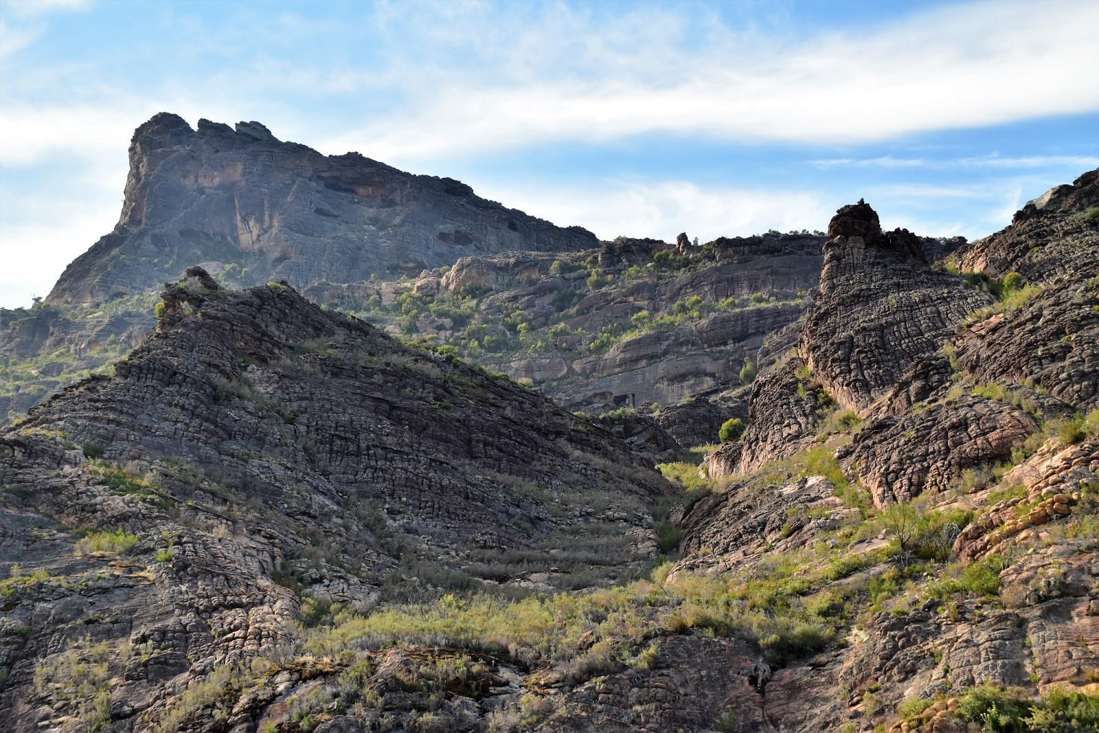 WHS Plus | Briggs Bluff: Hike to the summit of Briggs Bluff.